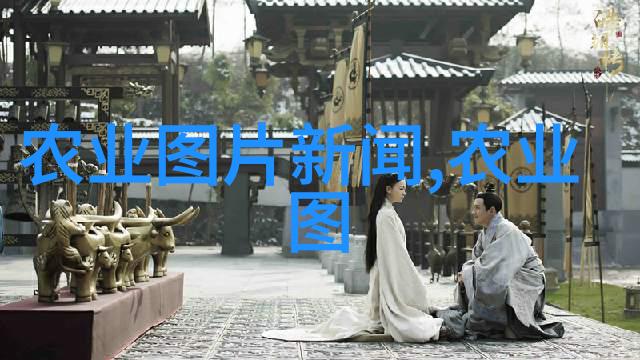探索中医药宝库各种中药材种子的选择与应用