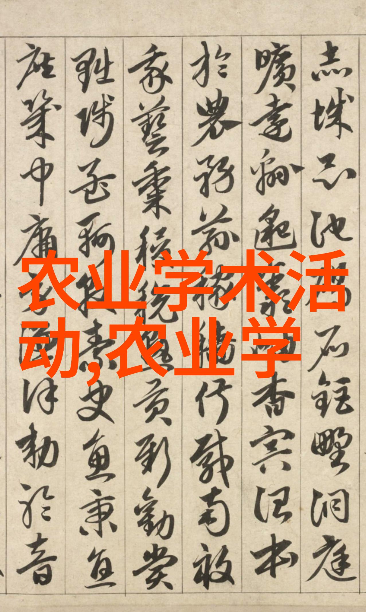 蔬菜金字塔大棚里的盈利之选