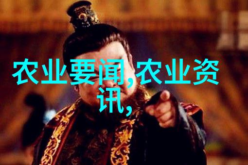 农业机械 大型旋耕起垄施肥一体机高效种植的新伙伴