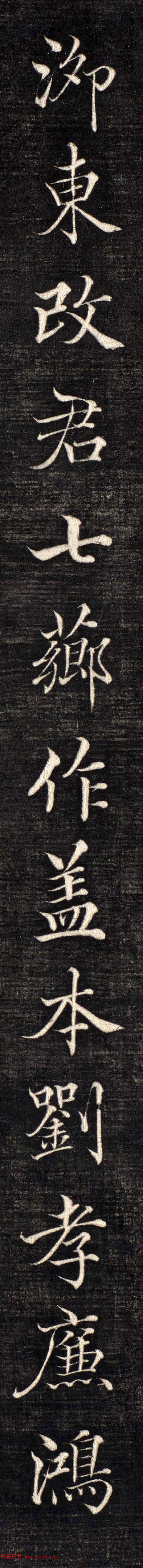 农业投资-揭秘最赚钱水果种植哪些果树让利润丰厚