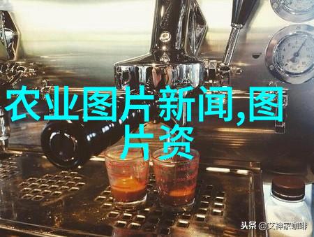 人工智能在动物行为分析中的应用案例研究