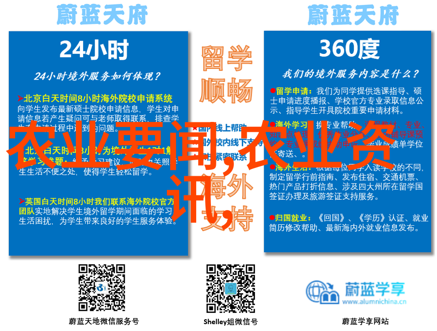 花园里的色彩掌握这些种植技巧让您的植物绽放