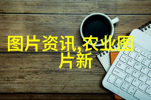 品味时光茶艺的艺术与哲学