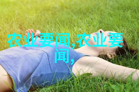15一18的红果冬青树的价格-鲜花市场上的红果冬青树15元至18元之间的珍贵选择