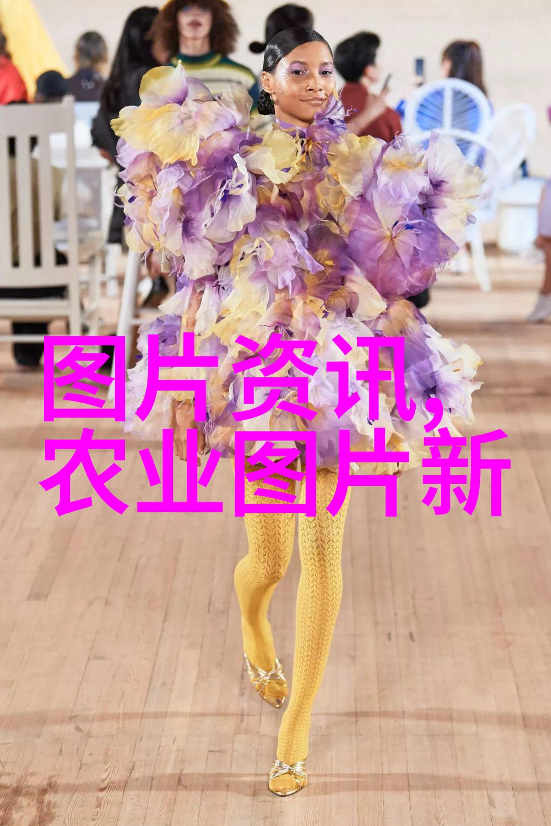 高就业率的热门专业追踪大专生的职业前景