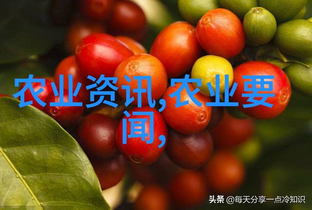 种植黄精的密度与效率问题探究一亩地需多少种苗