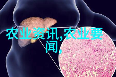 刘涵的逆袭从学生时代到教育界新星