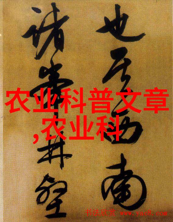 1区2区3区4区产品不卡码网站我是如何找到不用卡号也能买到高端商品的神秘网站的