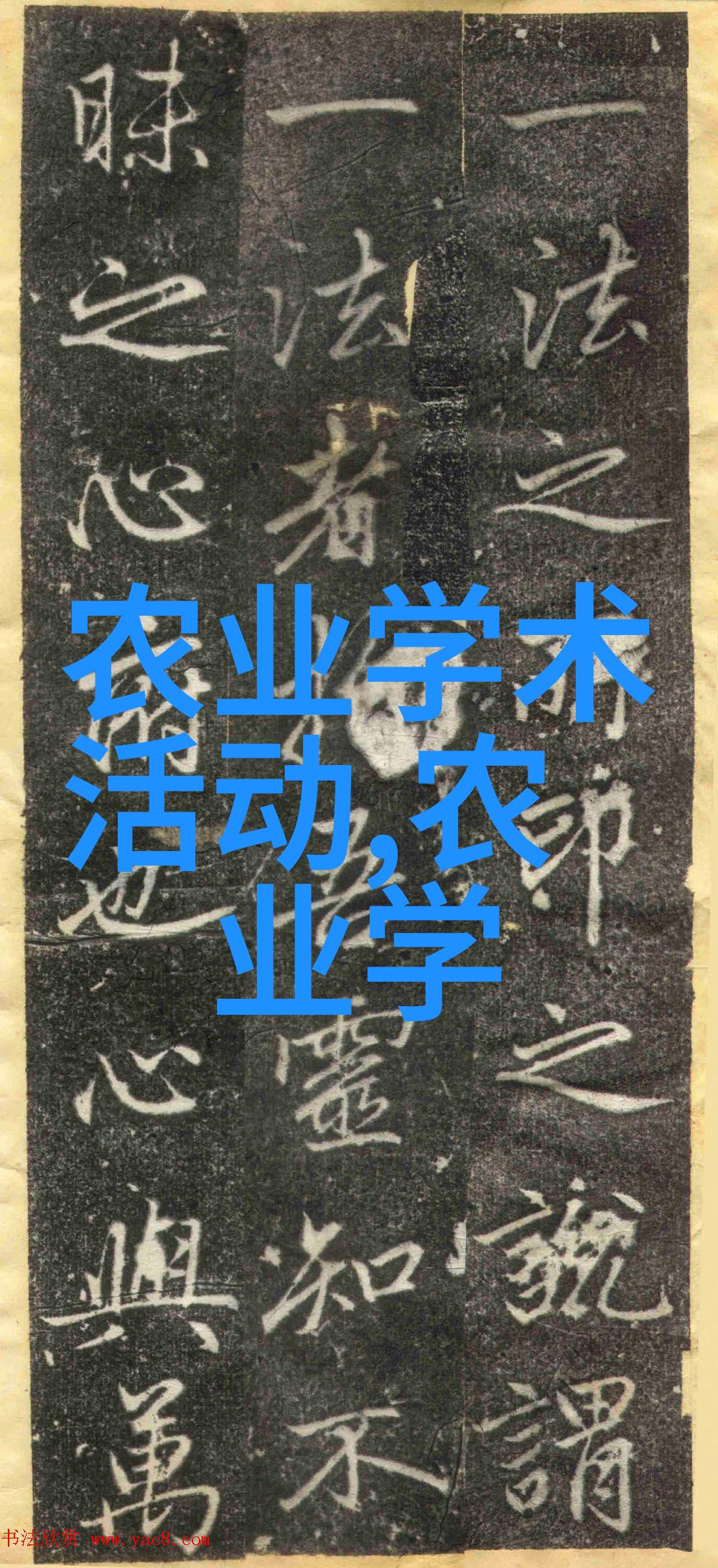 如何正确操作二手1米2旋耕机以提高其工作效率和安全性