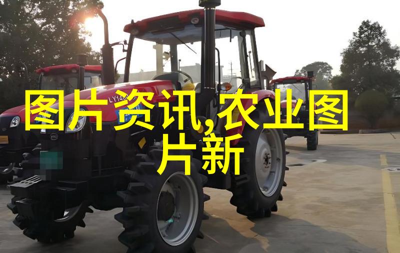 荒野求生从未知的野菜到餐桌上的奇迹