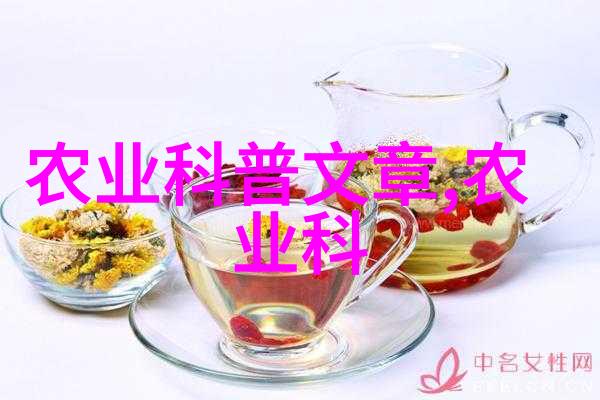 英语老师今晚都是你的了阅读你是今天的主宰无限可能的夜读之旅