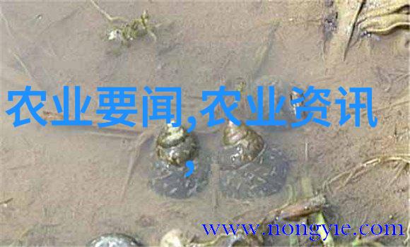 致富之路高收益养殖项目的选择与运作