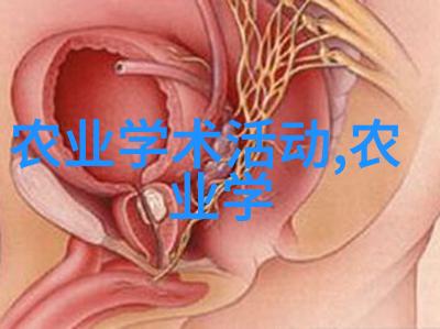 中药材大全中国传统药物的各类植物及动物来源