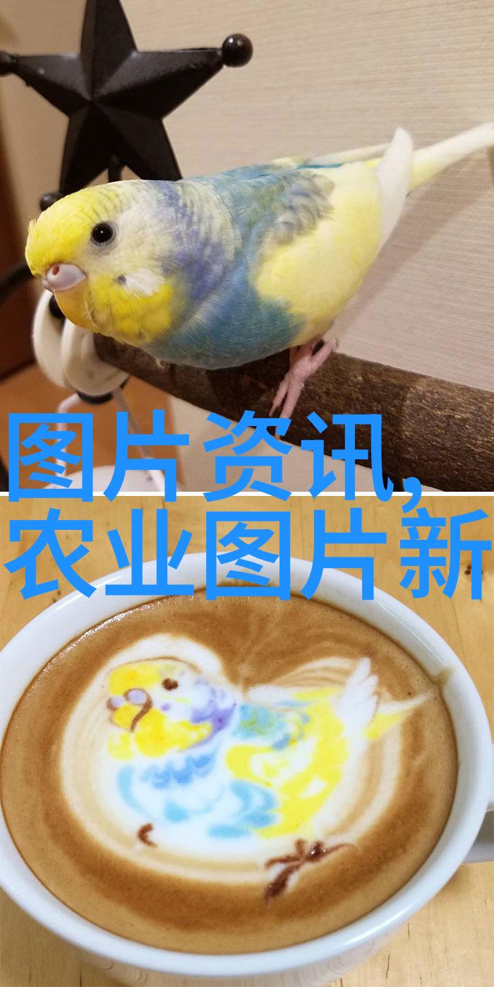 香椿之梦一亩大棚的种植成本探秘