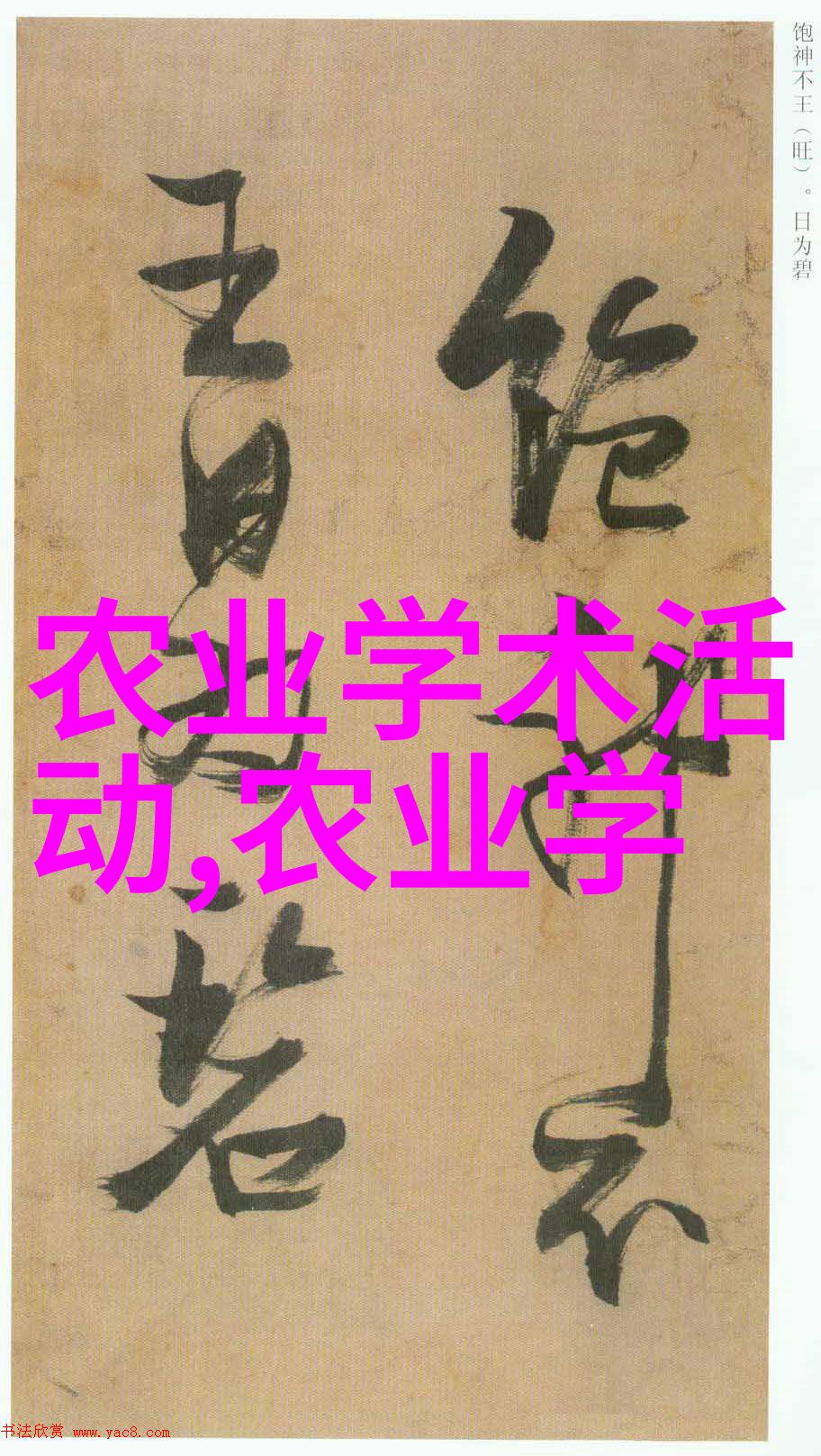 58同城牛羊交易平台我这里有货你要不要