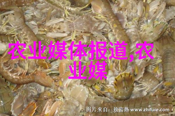 金融科技助备耕种粮大户点几下贷到款