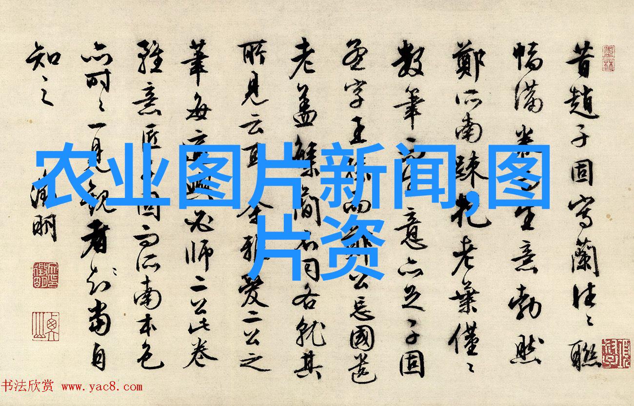 阿司匹林的过度反应药物与人体的微妙对话