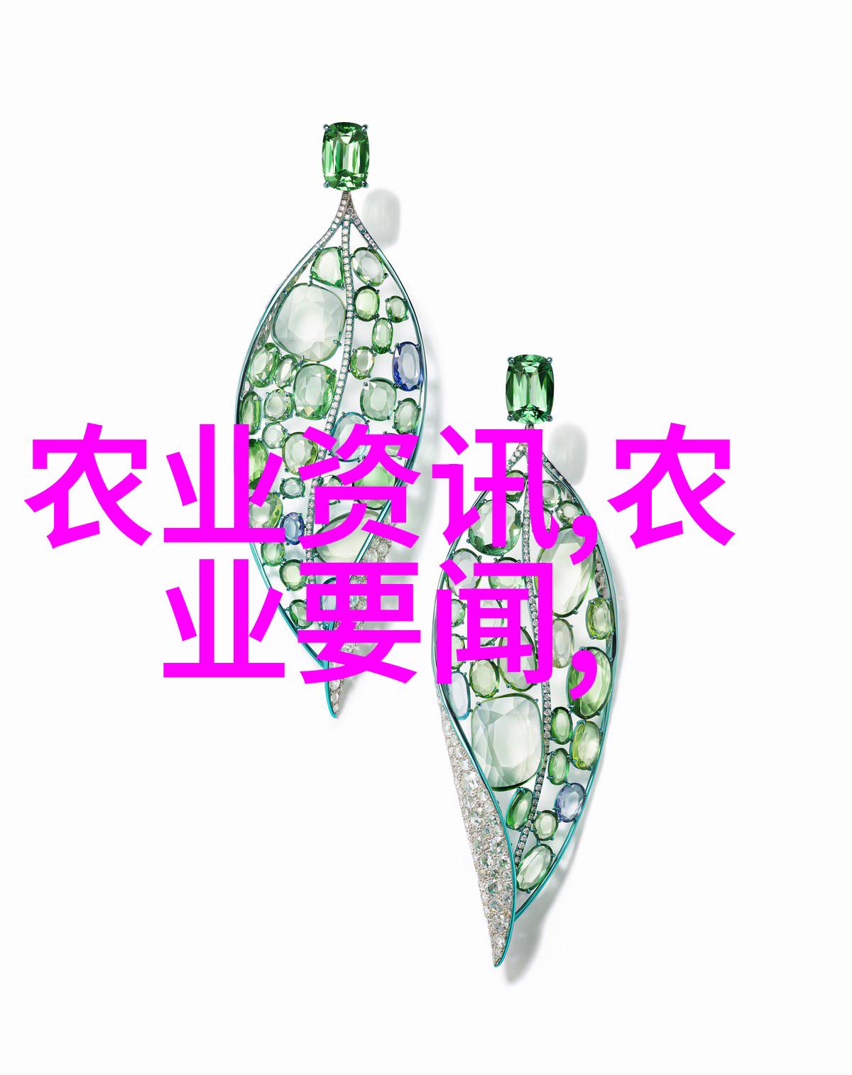 旱地药材逆境中的绿意与疗效