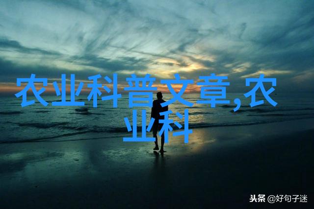 迈开腿让摸摸你的小扇贝-海边的邀约探索那些隐藏在沙滩下的秘密