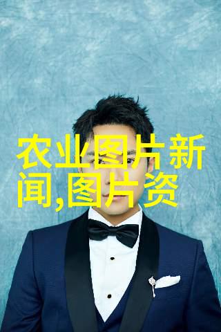 探究大门两旁不能有两棵树格局在传统园林设计中的文化象征与实用功能