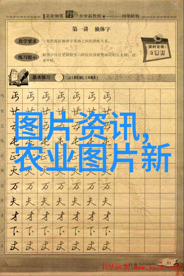 10旺家绿植秘籍仙人掌不根种神奇之法