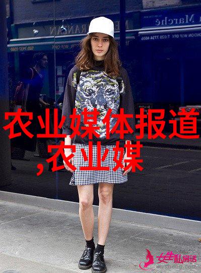 农广天地蔬菜种植大全从土壤到丰收的完整指南