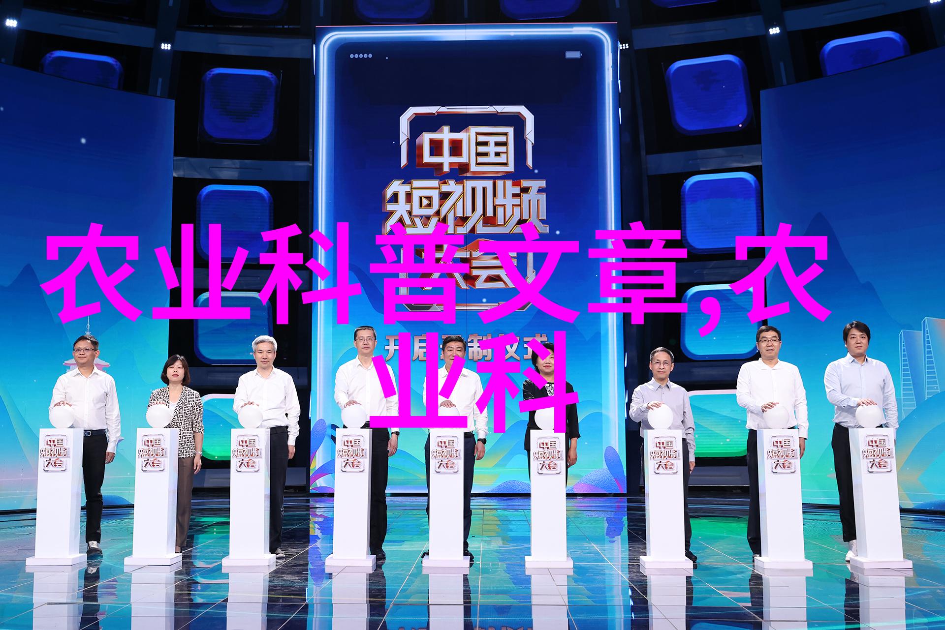 10公分法桐最新价格中国市场的经济分析