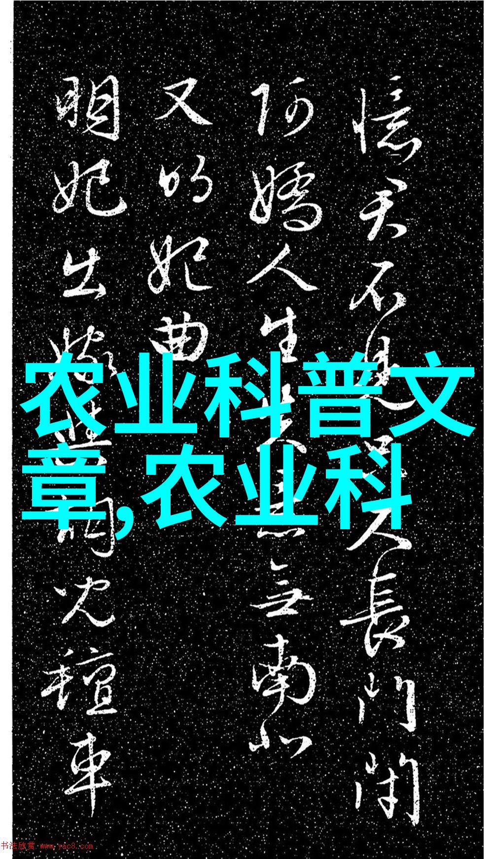 金丝楠苗木十公分规格价格探究