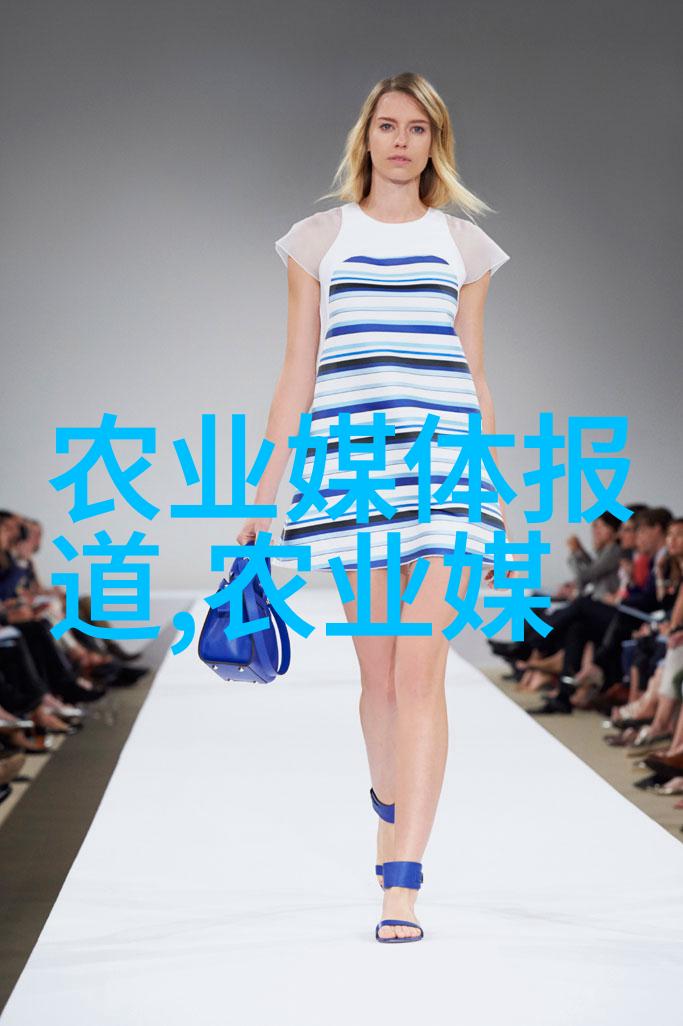 隐秘的农田农资进销存台账背后的谜团