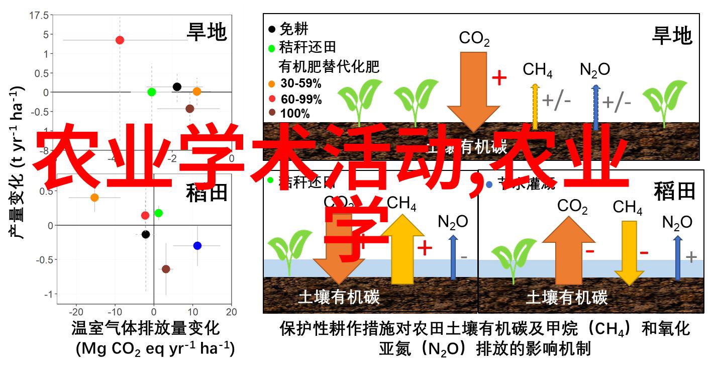 蜜蜂养殖技巧解析从基础到高级的全方位指南