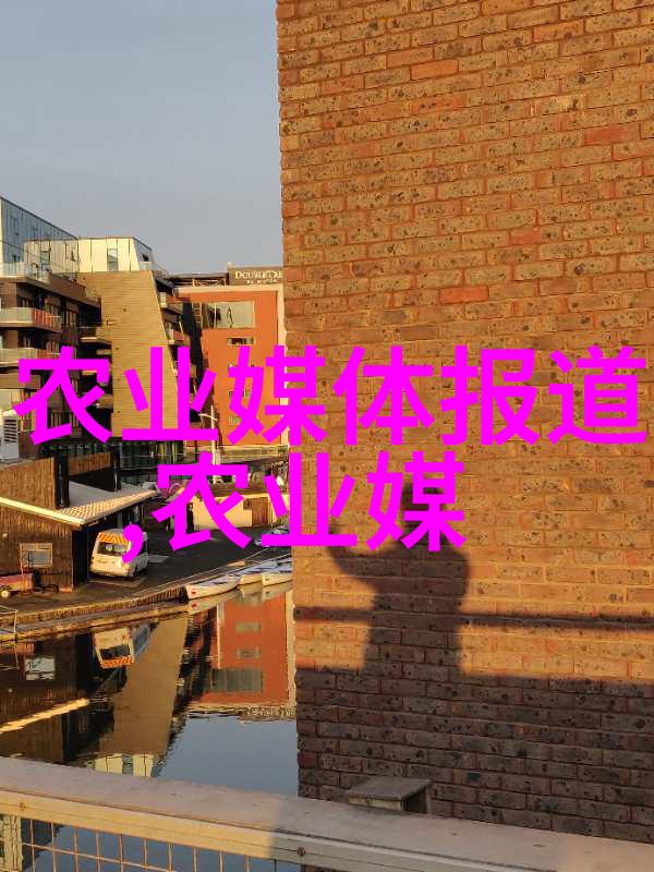 汽车配件-油之精华化油器的重要性与维护秘诀