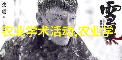 用户如何在今日头条上发现高质量内容