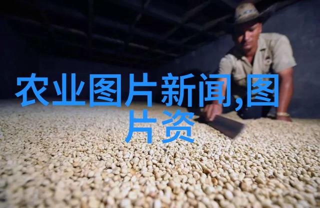一年四季都结果的果树我家的苹果树真是太神奇了它不管是春天夏天秋天还是冬天都能给我结出满满的一大篮子新