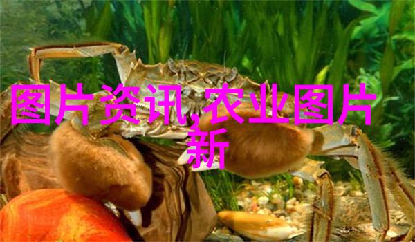农药知识大全应用程序了解各种农药使用方法和安全措施