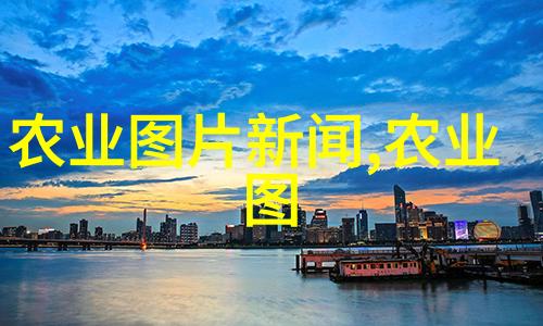 健康食品需求激增适合于2023年的有机蔬果种植指南