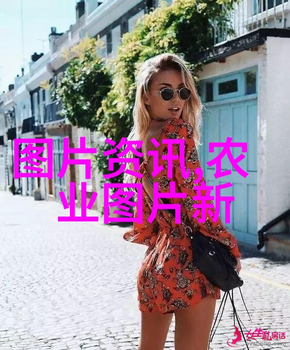 什么因素促进了中国农业机械化的快速发展