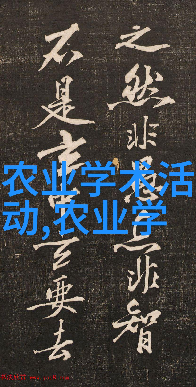 水泥搅拌车我是怎么不小心把它开到家门口的