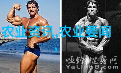 海南果蔬之冠那些让种植者笑到银行的财富树