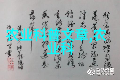 园艺智慧巧妙种植与精细管理的蔬菜绿洲