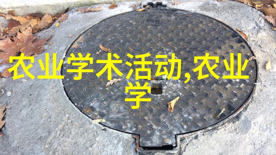 厨房激情交融公秀婷的猛烈对决