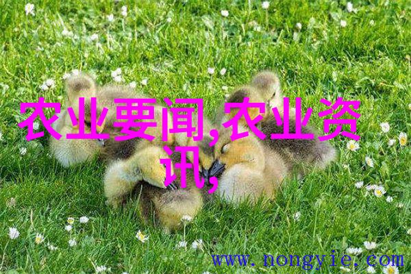 近几年种植哪些药材最具前景