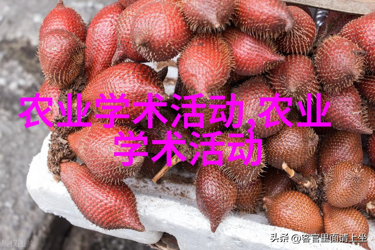 盘尼克百合