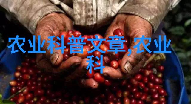 水果盆栽-丰收美景哪种水果籽最适合盆栽
