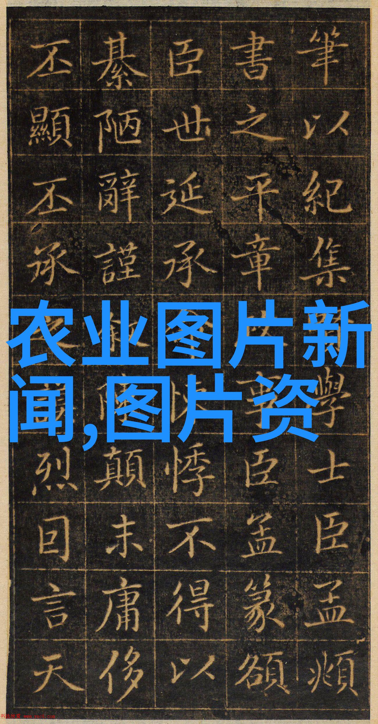 山东十大花卉批发基地秘密花园的守护者