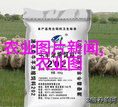 花园美景绘制精心策划的多样花卉种植方案