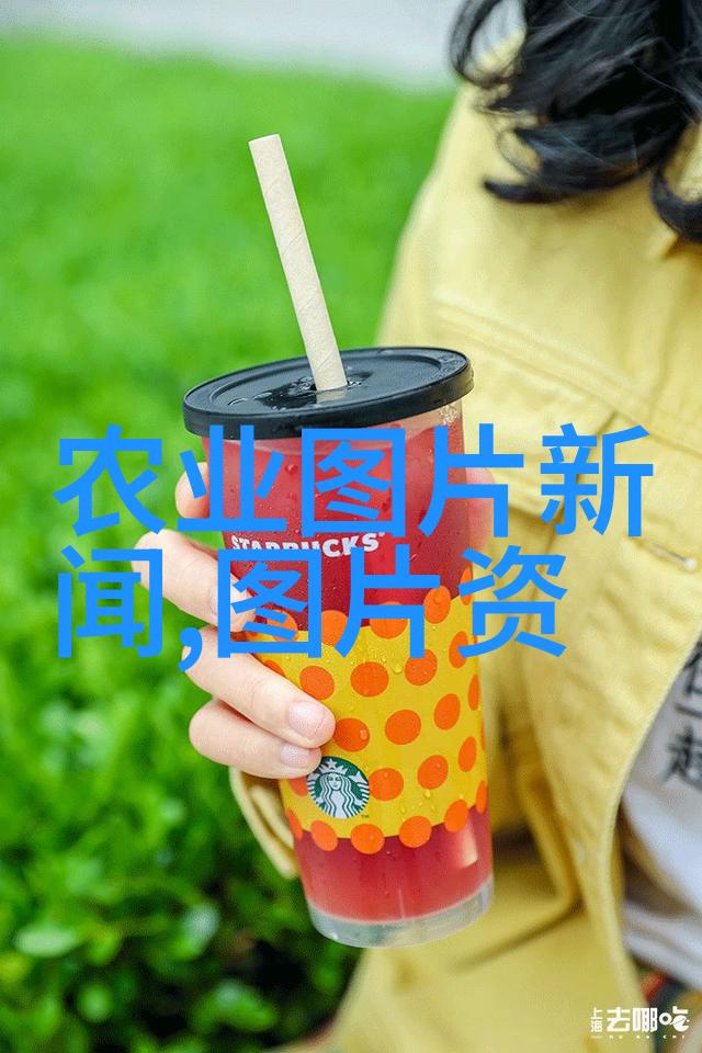 药材种植合作公司共创绿色健康未来