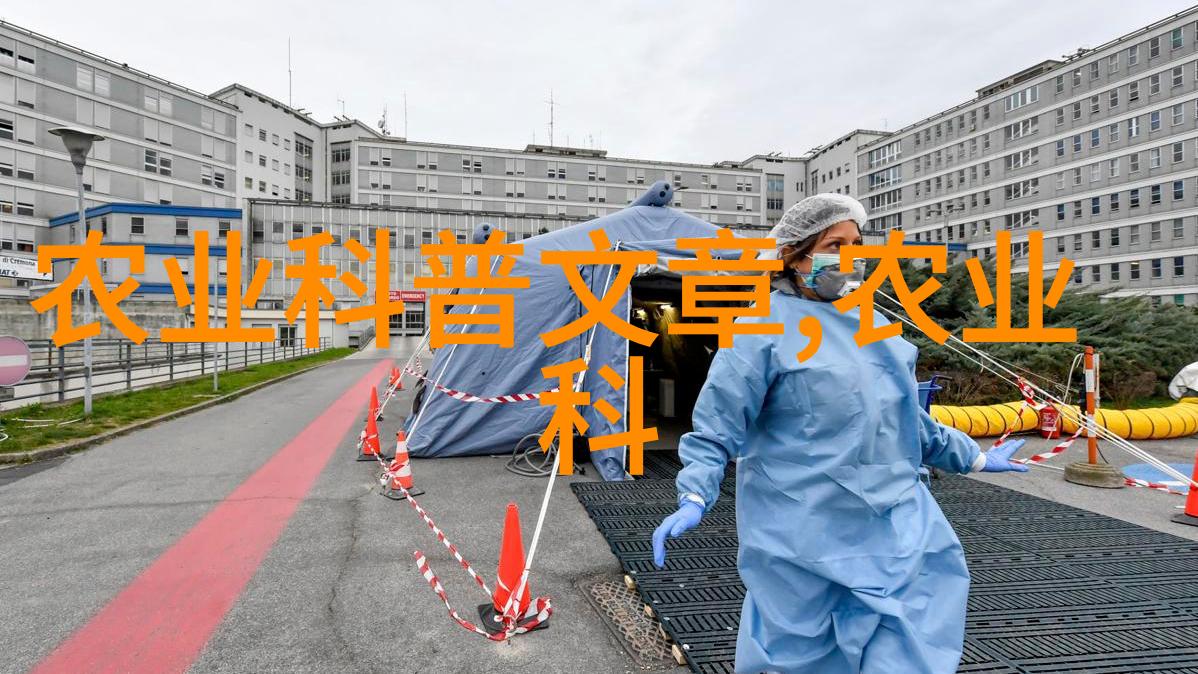 春播的承诺玉米种子的故事