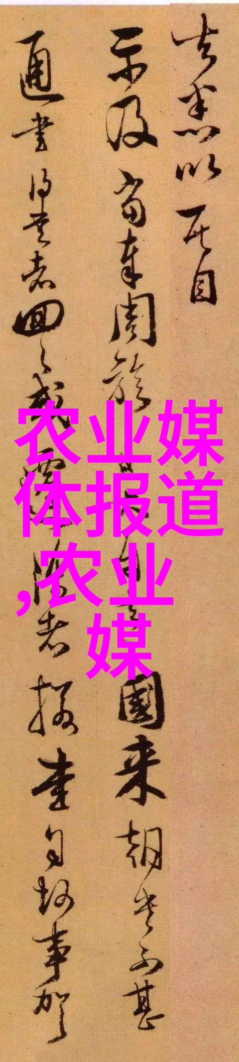 探秘姬菇世界菌丝之旅与香脆好食