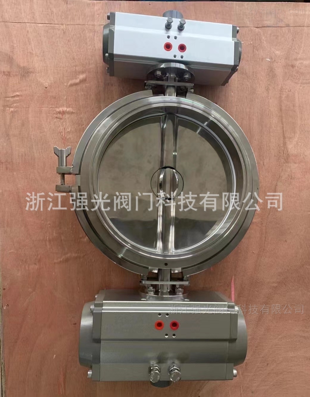 无土栽培技术我是如何用空中花园让植物在水里开花的
