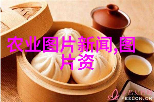 健康生活-药材行情旺揭秘十大不愁销路的药材